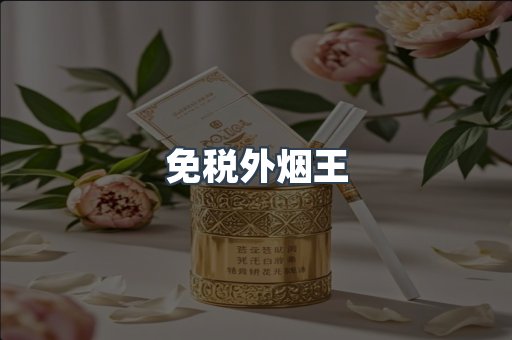 免税外烟王